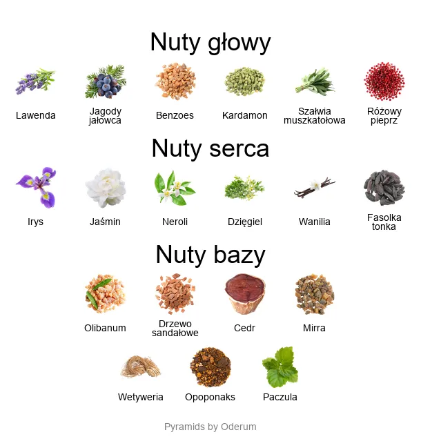 Piramida nut zapachowych perfum