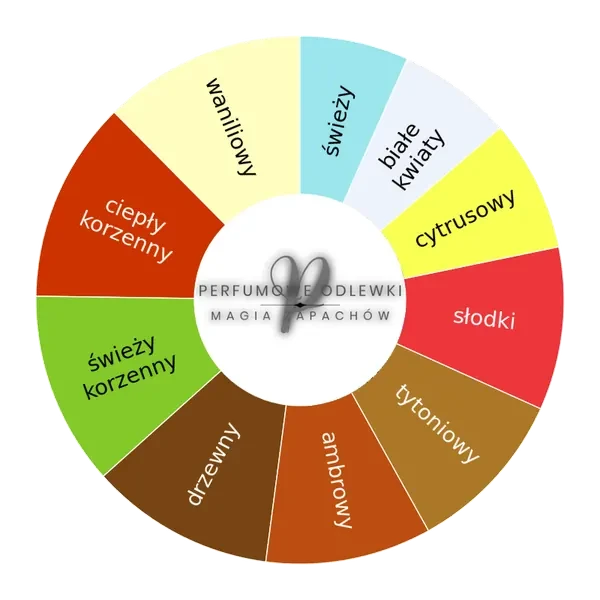 Enigma Pour Homme ekstrakt perfum- odlewka perfum koło aromatów