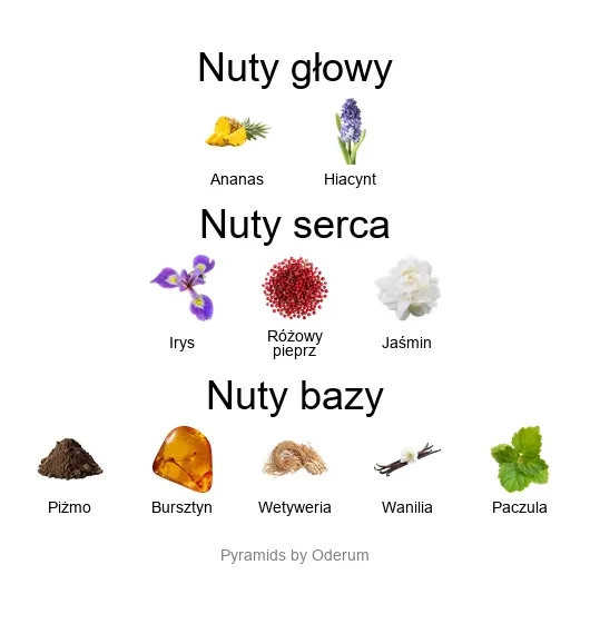 Accento EDP - piramida zapachów