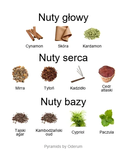 Luxor ekstrakt perfum - piramida zapachów