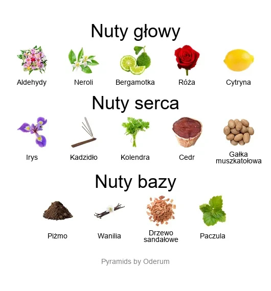 Pikovaya Dama ekstrakt perfum - piramida zapachów