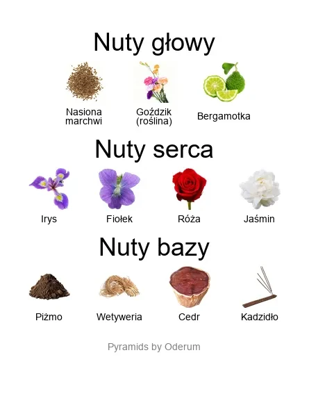 Irisss ekstrakt perfum - piramida zapachów