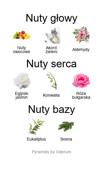 Accento Overdose EDP - piramida zapachów