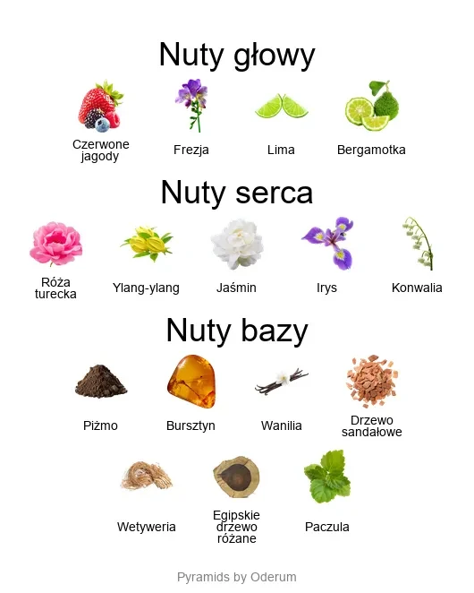Damarose ekstrakt perfum - piramida zapachów