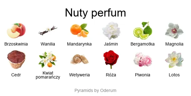 Allure EDP - piramida zapachów
