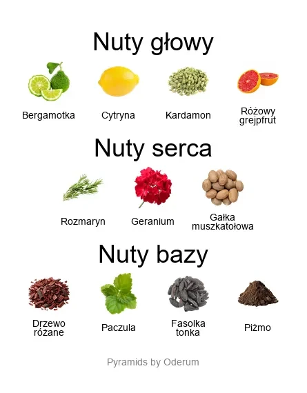 Amans ekstrakt perfum - piramida zapachów