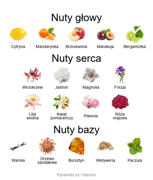 Allure EDT - piramida zapachów