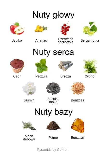 Arsenico ekstrakt perfum - piramida zapachów