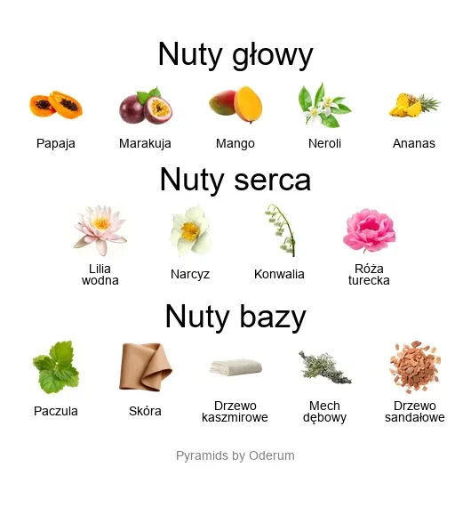 Cianuro ekstrakt perfum - piramida zapachów