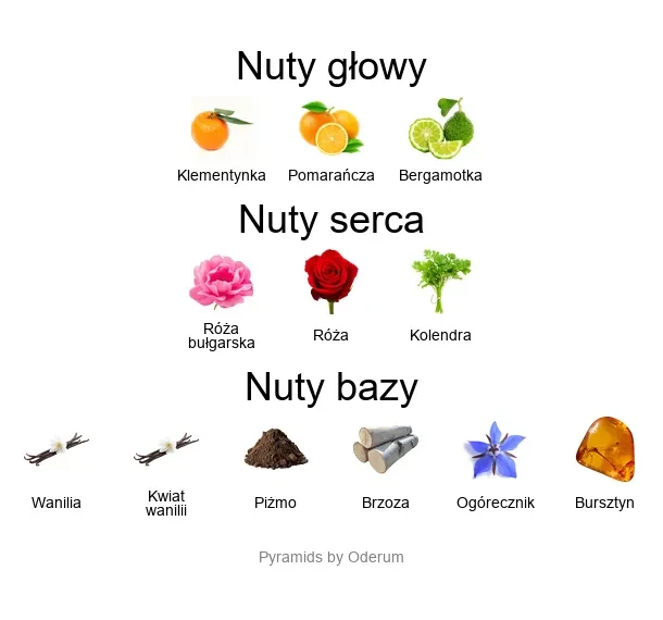 Cicuta ekstrakt perfum - piramida zapachów