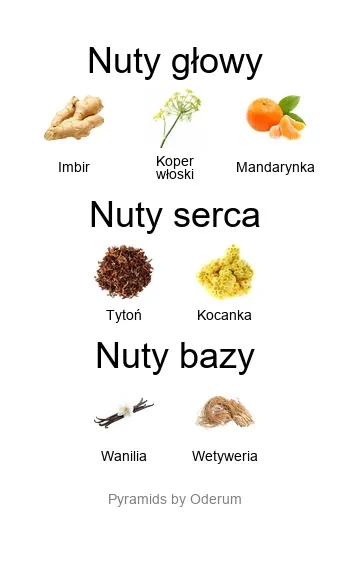 Une Nuit a Doha EDP - piramida zapachów