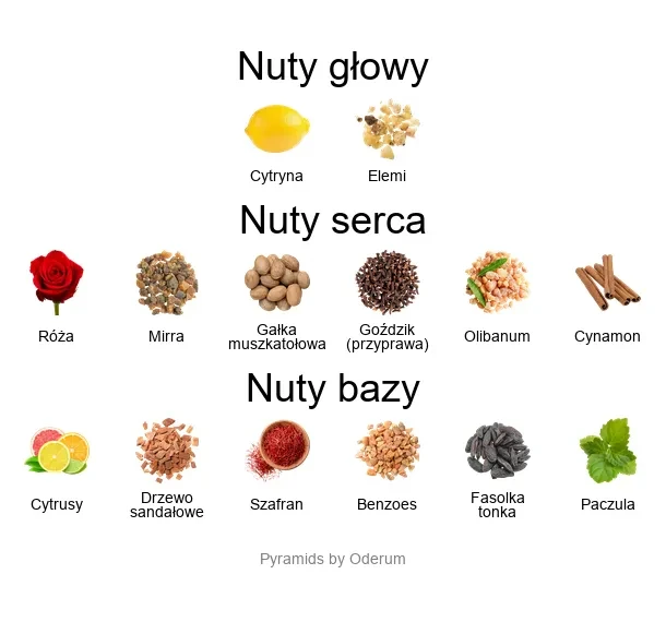 Fenicia EDP - piramida zapachów