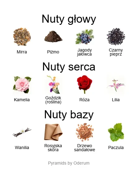 Cor Gentile ekstrakt perfum - piramida zapachów