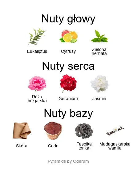 Isotta ekstrakt perfum - piramida zapachów