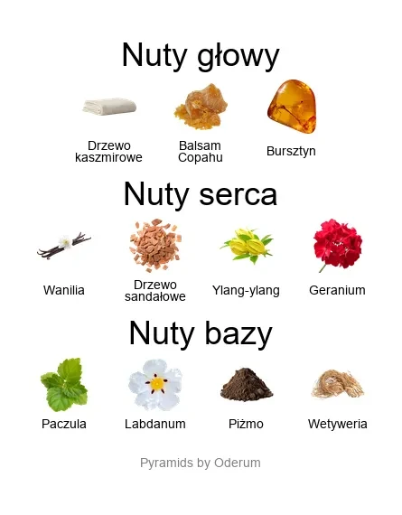 Kashimire ekstrakt perfum - piramida zapachów