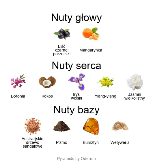 Southern Bloom ekstrakt perfum - piramida zapachów