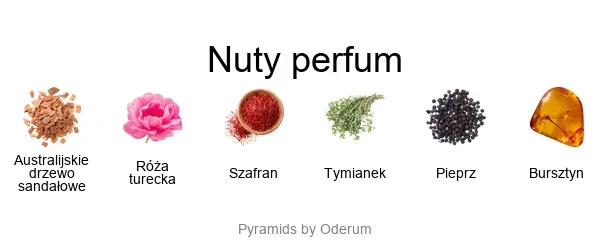 White Sandalwood ekstrakt perfum - piramida zapachów