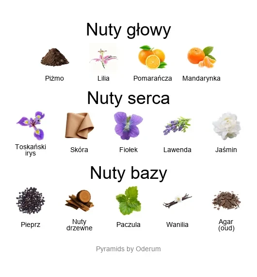 Malatesta ekstrakt perfum - piramida zapachów