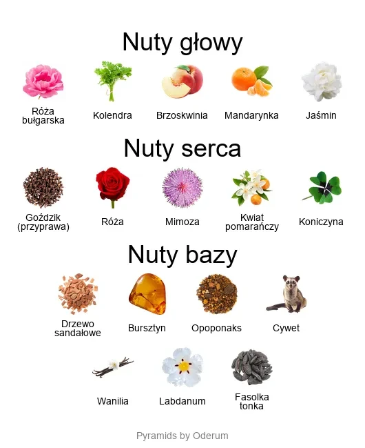 Coco EDT - piramida zapachów