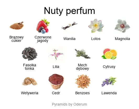 Psiche ekstrakt perfum - piramida zapachów