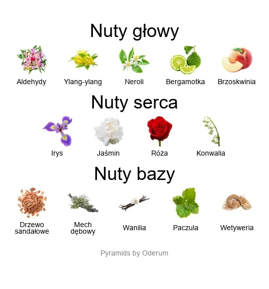 Chanel No. 5 EDP - piramida zapachów