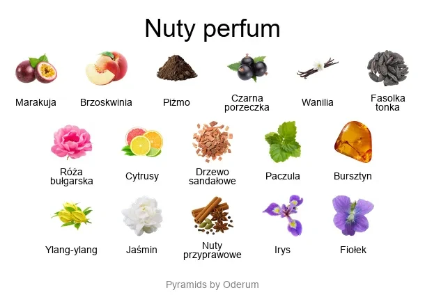 Temptatio ekstrakt perfum - piramida zapachów