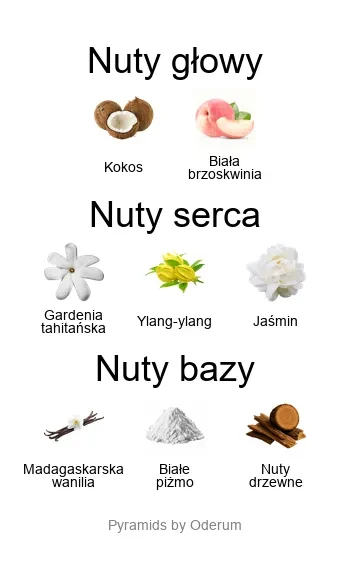 Coco Vanille EDP - piramida zapachów