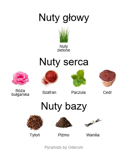 Wardasina EDP - piramida zapachów