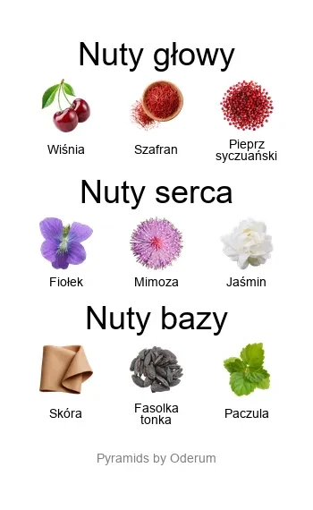 Cherry Punk EDP - piramida zapachów