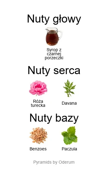 Si Intense EDP - piramida zapachów