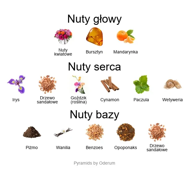 Star Musk ekstrakt perfum - piramida zapachów