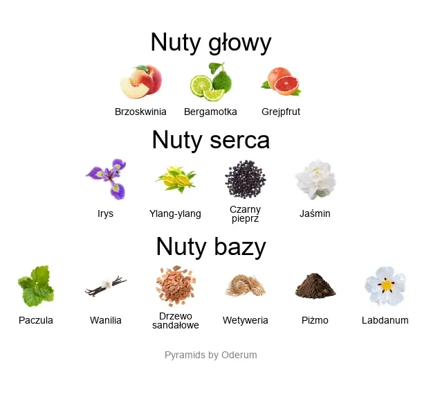 XXY ekstrakt perfum - piramida zapachów