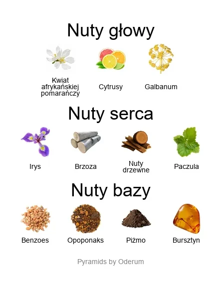 Elle ekstrakt perfum - piramida zapachów