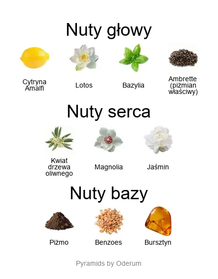 Fiore d'Ulivo EDP - piramida zapachów