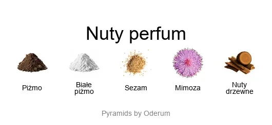 L'eau Papier EDT - piramida zapachów