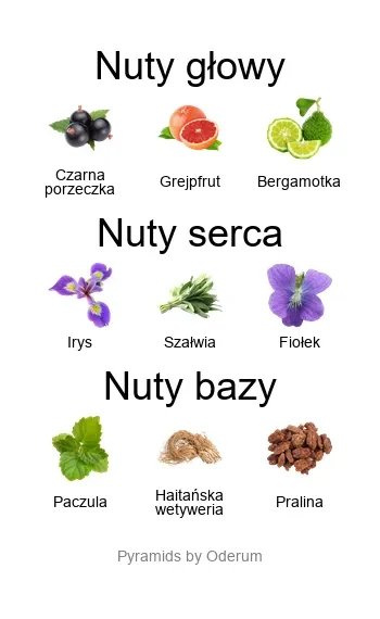 Aube Rubis EDP - piramida zapachów