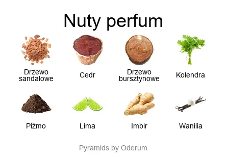 Tam Dao EDP - piramida zapachów