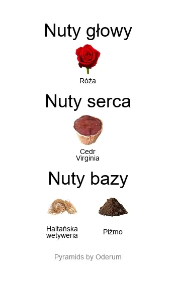 Super Cedar EDP - piramida zapachów