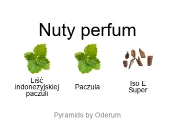 Molecule 01 + Patchouli EDT - piramida zapachów