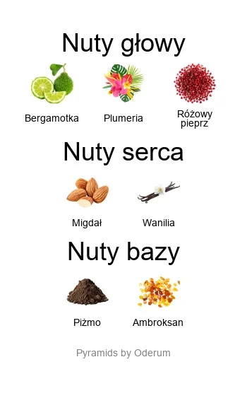Blu Indaco EDP - piramida zapachów