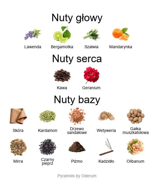 Endymion EDP - piramida zapachów