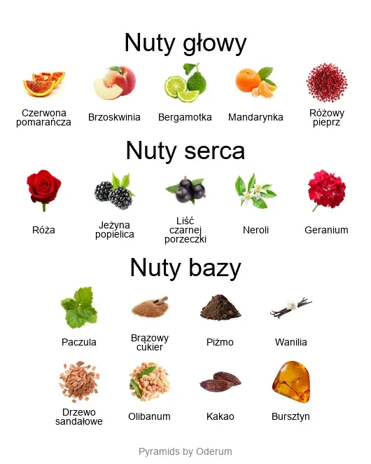 Empressa EDP - piramida zapachów