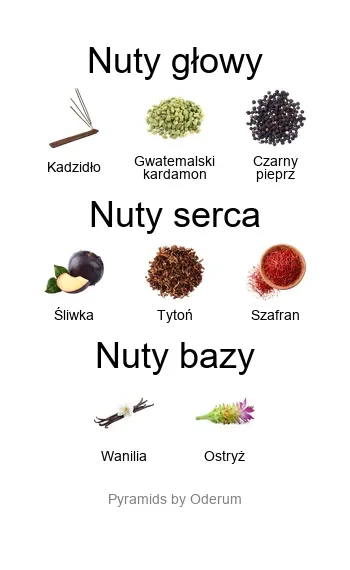 AlUla EDP - piramida zapachów