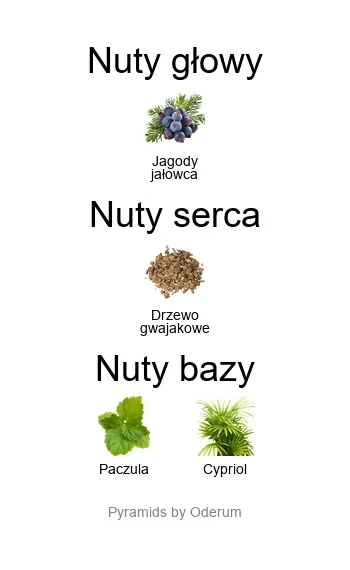 Bois d'Ebene EDP - piramida zapachów