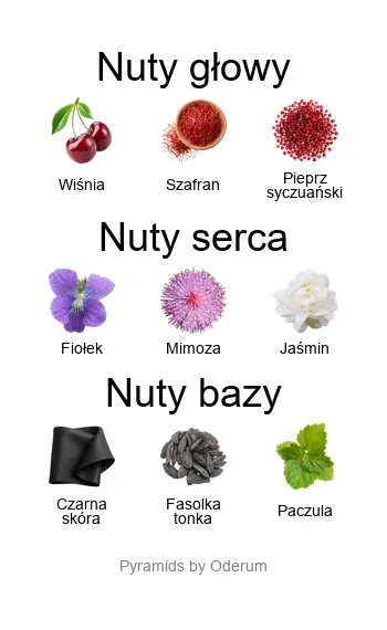 Cherry Punk Extrait de Parfum ekstrakt perfum - flakon perfum 100 ml - piramida zapachów